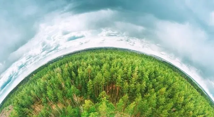 Framed Print : Aerial View Green Coniferous Forest Pines Woods Landscape In Spring Day Framed Print : Aerial View Green Coniferous Forest Pines Woods Landscape In Spring Day