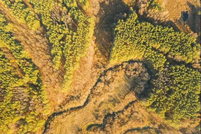 Framed Print : Aerial View Green Forest In Deforestation Area Landscape. Top View Of Woods. European Nature From High Attitude In Autumn Season. Drone View. Bird's E Framed Print : Aerial View Green Forest In Deforestation Area Landscape. Top View Of Woods. European Nature From High Attitude In Autumn Season. Drone View. Bird's E