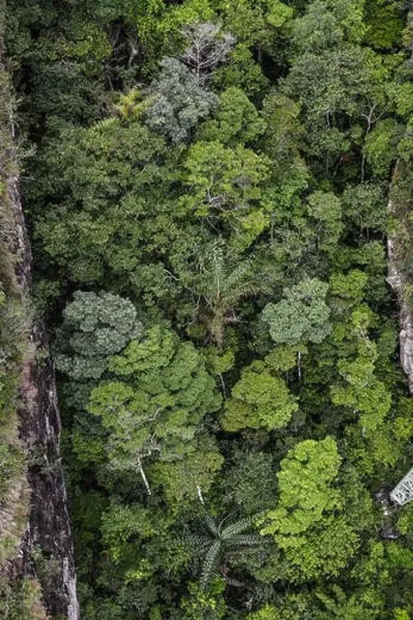 Framed Print : Aerial view of a green forest on Langkawi Island, Malaysia Framed Print : Aerial view of a green forest on Langkawi Island, Malaysia