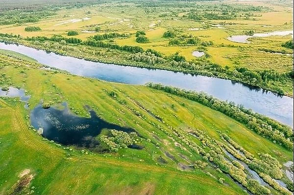 Aerial View. Green Forest, Meadow And River Marsh Landscape In Summer. Top View Of European Nature From High Attitude In Spring. Bird's Eye View Of