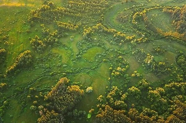 Aerial View Green Forest Woods park And Creek Stream Landscape In Summer Evening. Top View Of Beautiful European Nature From High Attitude. Drone View