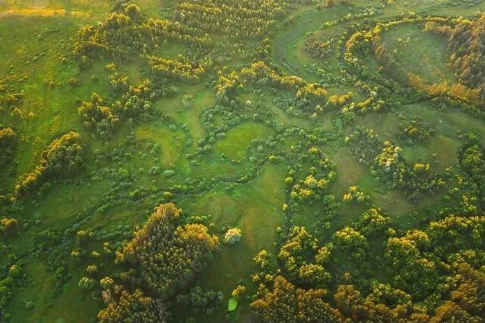 Framed Print : Aerial View Green Forest Woods park And Creek Stream Landscape In Summer Evening. Top View Of Beautiful European Nature From High Attitude. Drone View Framed Print : Aerial View Green Forest Woods park And Creek Stream Landscape In Summer Evening. Top View Of Beautiful European Nature From High Attitude. Drone View