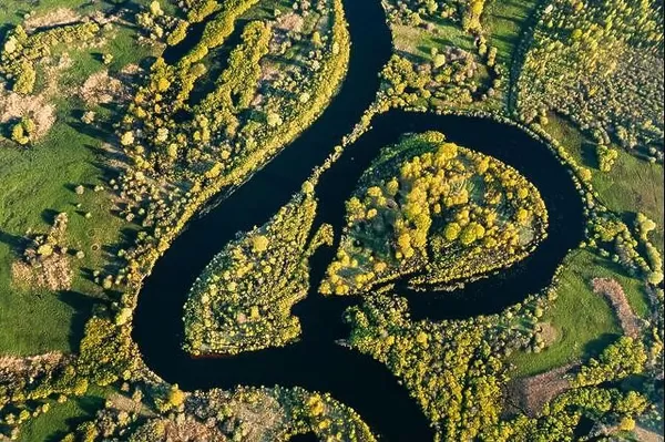 Aerial View Green Forest Woods And River Landscape In Sunny Spring Summer Day. Top View Of Nature, Bird's Eye View. Trees Standing In Water During