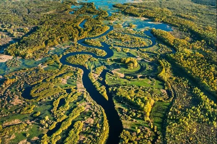 Framed Print : Aerial View Green Forest Woods And River Landscape In Sunny Spring Summer Day. Top View Of Nature, Bird's Eye View. Trees Standing In Water During Framed Print : Aerial View Green Forest Woods And River Landscape In Sunny Spring Summer Day. Top View Of Nature, Bird's Eye View. Trees Standing In Water During