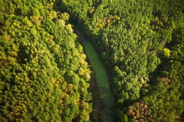 Framed Print : Aerial View Green Forest Woods And River Marsh Bog In Summer Landscape. Top View Of Beautiful European Nature From High Attitude In Summer Season. Dro Framed Print : Aerial View Green Forest Woods And River Marsh Bog In Summer Landscape. Top View Of Beautiful European Nature From High Attitude In Summer Season. Dro