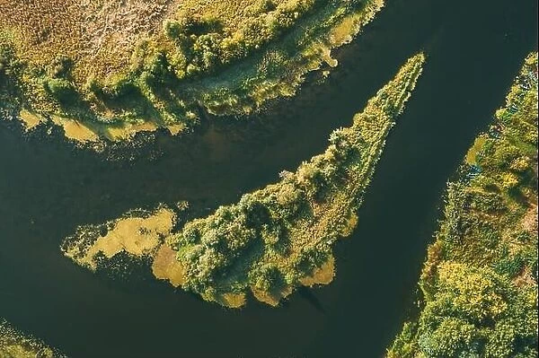 Aerial View Green Forest Woods On Small River Island In Summer Landscape. Top View Of Beautiful European Nature From High Attitude In Summer Season. D