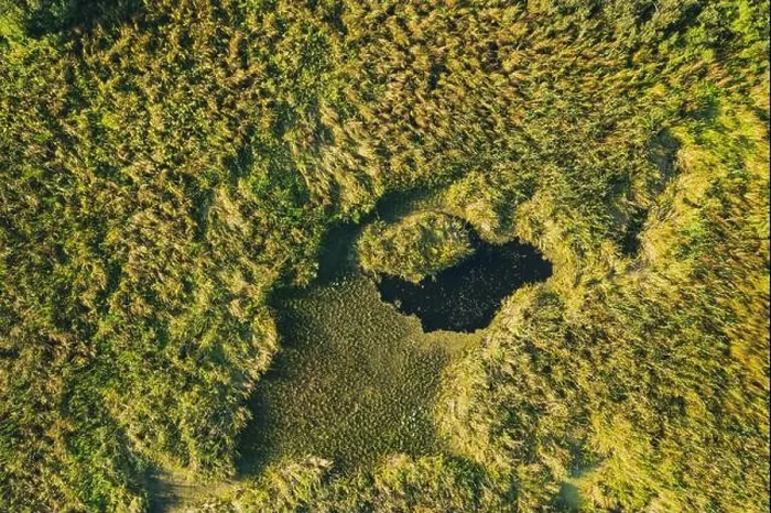 Framed Print : Aerial View Of Green Grass Landscape. Top View From High Attitude In Summer Evening. Small Marsh Bog. Drone View. Bird's Eye View Framed Print : Aerial View Of Green Grass Landscape. Top View From High Attitude In Summer Evening. Small Marsh Bog. Drone View. Bird's Eye View