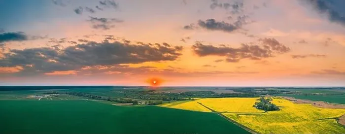 Framed Print : Aerial View Of Green Meadow And Field With Blooming Canola Yellow Flowers. Top View Of Blossom Plant, Rapeseed Meadow Grass Landscape At Sunset Sunris Framed Print : Aerial View Of Green Meadow And Field With Blooming Canola Yellow Flowers. Top View Of Blossom Plant, Rapeseed Meadow Grass Landscape At Sunset Sunris
