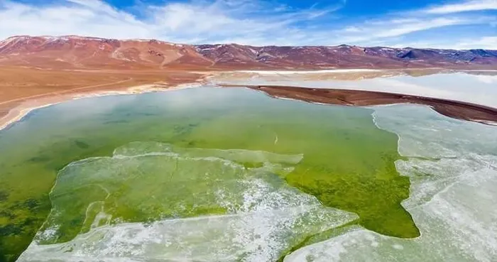 Framed Print : Aerial view of the green and partly frozen Laguna del Negro Francisco in the Atacama desert in Chile - Traveling Framed Print : Aerial view of the green and partly frozen Laguna del Negro Francisco in the Atacama desert in Chile - Traveling