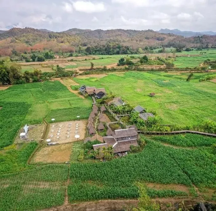 Framed Print : Aerial view of Houses in the middle of rice fields in Nan province, Thailand Framed Print : Aerial view of Houses in the middle of rice fields in Nan province, Thailand