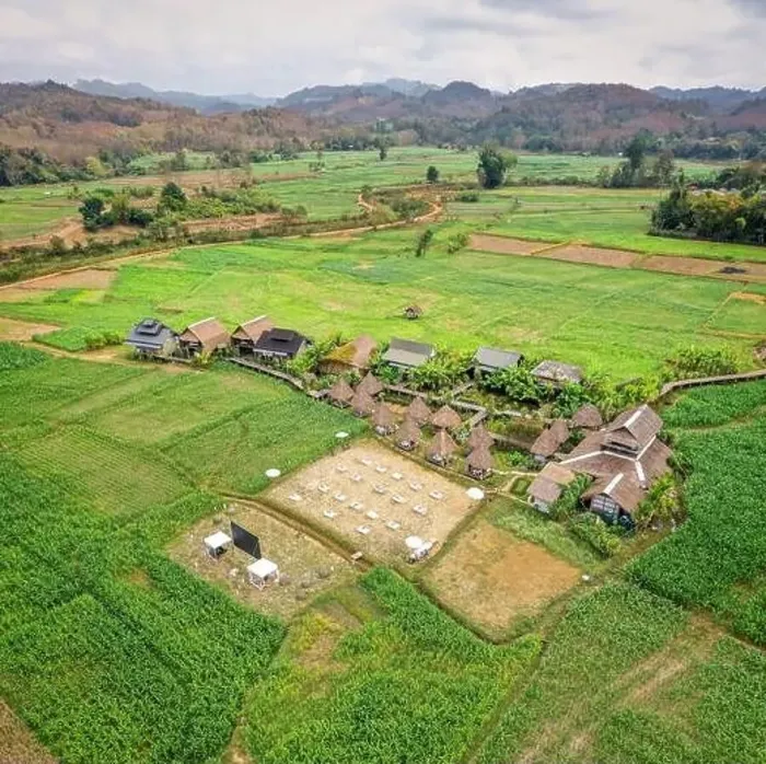 Framed Print : Aerial view of Houses in the middle of rice fields in Nan province, Thailand Framed Print : Aerial view of Houses in the middle of rice fields in Nan province, Thailand