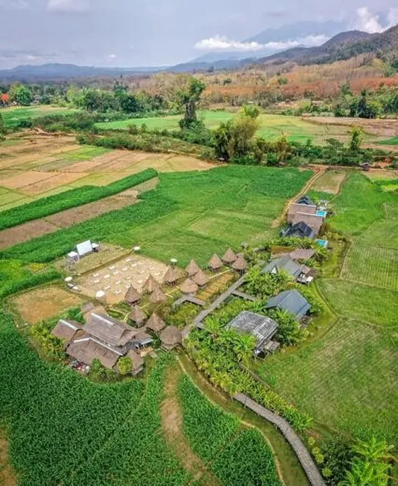 Framed Print : Aerial view of Houses in the middle of rice fields in Nan province, Thailand