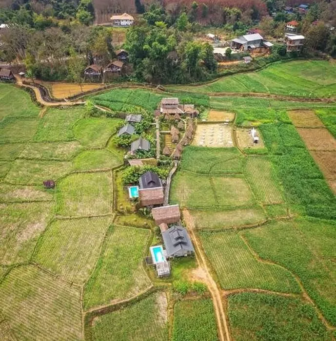 Framed Print : Aerial view of Houses in the middle of rice fields in Nan province, Thailand Framed Print : Aerial view of Houses in the middle of rice fields in Nan province, Thailand