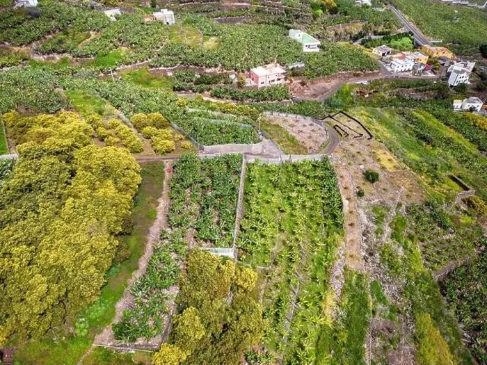 Framed Print : Aerial view of Los Tilos bridge near Los Sauces at La Palma Island, Canary Islands, Spain Framed Print : Aerial view of Los Tilos bridge near Los Sauces at La Palma Island, Canary Islands, Spain
