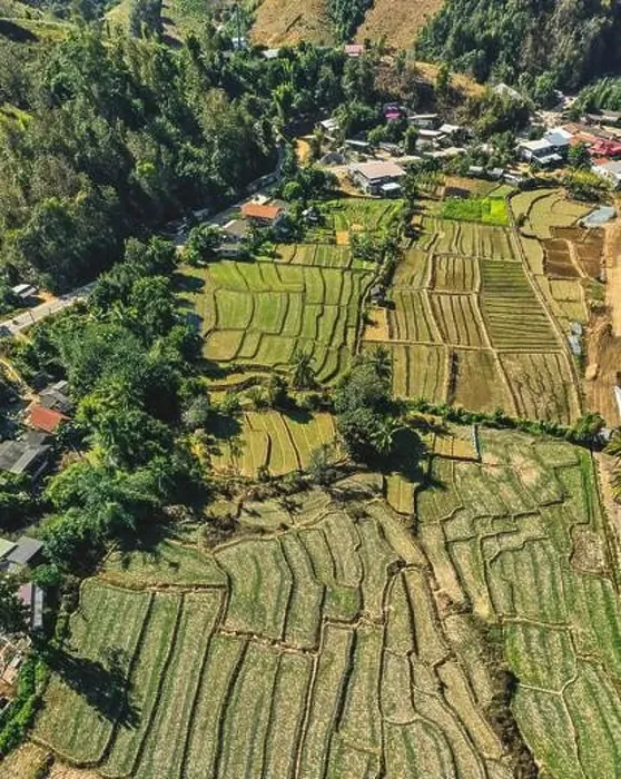 Framed Print : Aerial view of Mae La Noi rice terraces in Mae Hong Son, Thailand Framed Print : Aerial view of Mae La Noi rice terraces in Mae Hong Son, Thailand