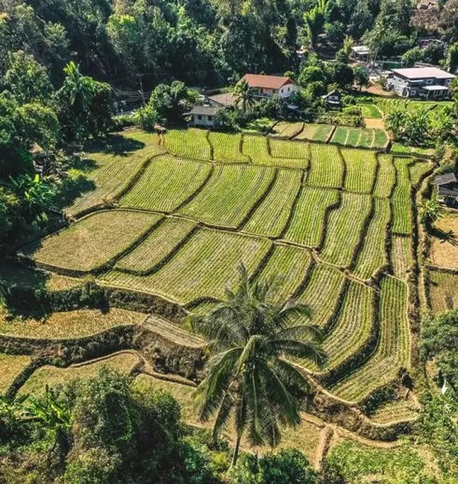 Framed Print : Aerial view of Mae La Noi rice terraces in Mae Hong Son, Thailand Framed Print : Aerial view of Mae La Noi rice terraces in Mae Hong Son, Thailand