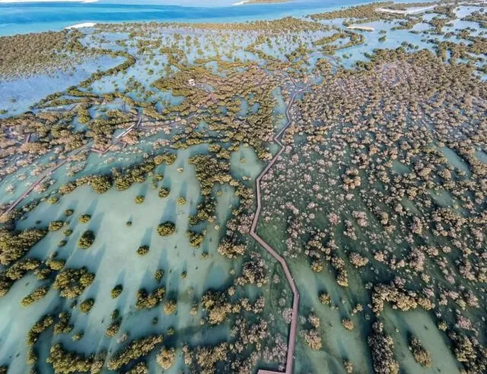 Framed Print : Aerial view of mangroves in Abu Dhabi. Special eco system, natural environment Framed Print : Aerial view of mangroves in Abu Dhabi. Special eco system, natural environment