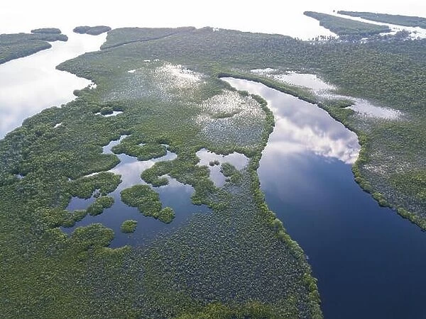An aerial view of mangroves and the calm lagoon inside Turneffe Atoll off the coast of Belize. This area of the Caribbean is extremely biodiverse