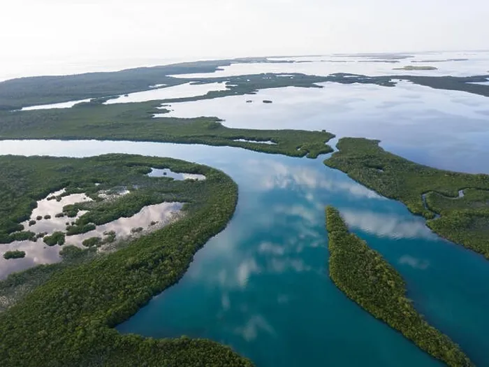 Framed Print : An aerial view of mangroves and the calm lagoon inside Turneffe Atoll off the coast of Belize. This area of the Caribbean is extremely biodiverse Framed Print : An aerial view of mangroves and the calm lagoon inside Turneffe Atoll off the coast of Belize. This area of the Caribbean is extremely biodiverse