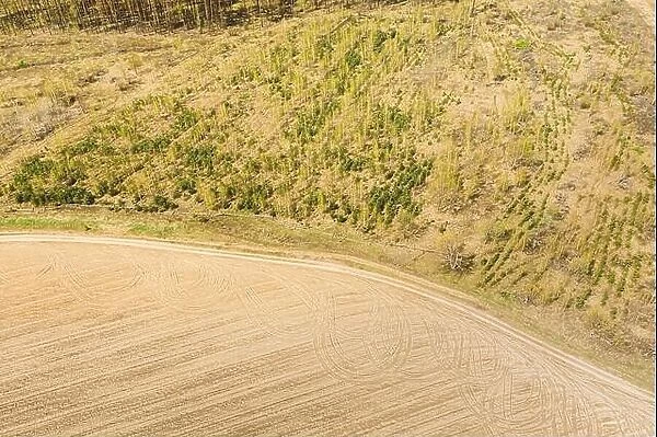 Aerial View Of Minimalistic Rural Landscape. Bird's-eye View Of Deforestation. Beginning Of Agricultural Spring Season. Tractor Tracks On Plowed Field