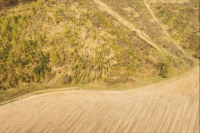 Framed Print : Aerial View Of Minimalistic Rural Landscape. Bird's-eye View Of Deforestation. Beginning Of Agricultural Spring Season. Tractor Tracks On Plowed Field Framed Print : Aerial View Of Minimalistic Rural Landscape. Bird's-eye View Of Deforestation. Beginning Of Agricultural Spring Season. Tractor Tracks On Plowed Field