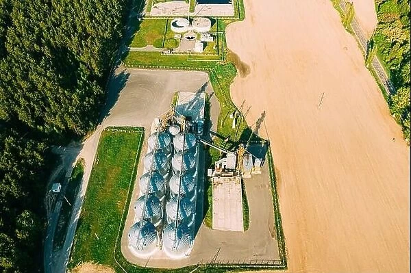 Aerial View Modern Granary, Grain-drying Complex, Commercial Grain Or Seed Silos In Sunny Spring Rural Landscape. Corn Dryer Silos, Inland Grain