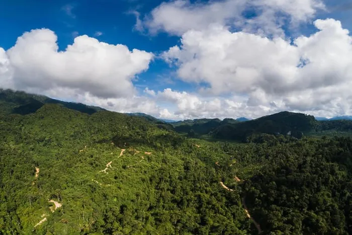 Framed Print : Aerial view of mountains in the rainforest of Malaysia on sunny day Framed Print : Aerial view of mountains in the rainforest of Malaysia on sunny day