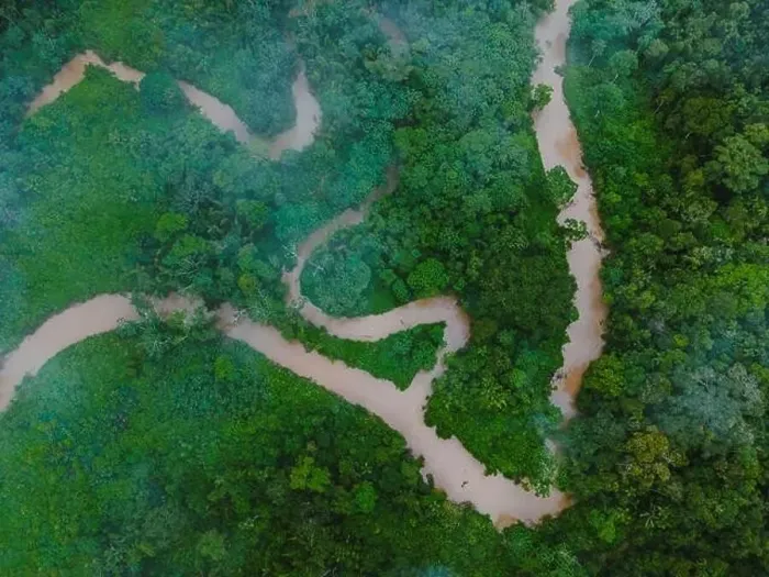 Framed Print : Aerial view of narrow road going through green trees growing in forest located at Amazonas rural area Framed Print : Aerial view of narrow road going through green trees growing in forest located at Amazonas rural area