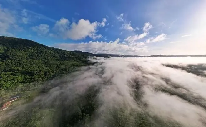 Framed Print : Aerial view Panorama of flowing fog waves on mountain tropical rainforest
