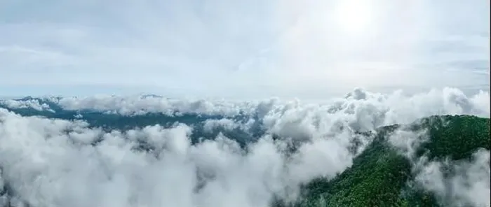 Framed Print : Aerial view Panorama of flowing fog waves on mountain tropical rainforest Framed Print : Aerial view Panorama of flowing fog waves on mountain tropical rainforest