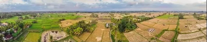 Framed Print : Aerial top view photo from flying drone of green rice fields in countryside Land with grown plants of paddy Framed Print : Aerial top view photo from flying drone of green rice fields in countryside Land with grown plants of paddy