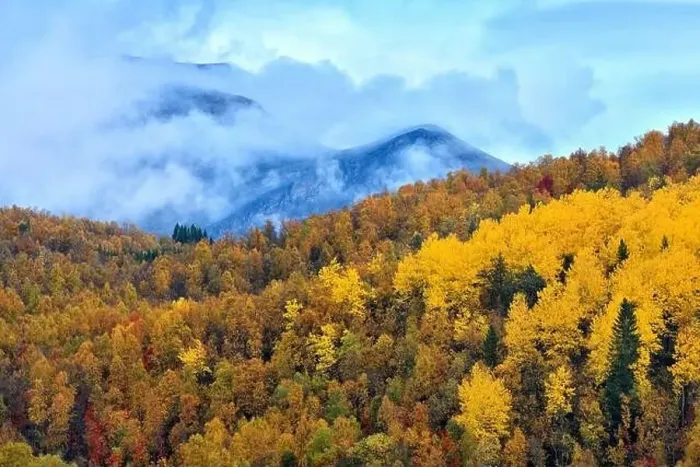 Framed Print : Aerial view of picturesque landscape with autumn forest and mountain range under cloudy sky Framed Print : Aerial view of picturesque landscape with autumn forest and mountain range under cloudy sky
