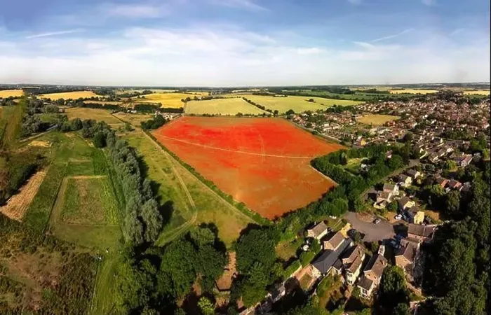 Framed Print : An aerial view of poppies in bloom in a field near Ipswich, UK Framed Print : An aerial view of poppies in bloom in a field near Ipswich, UK