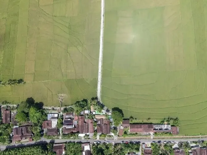 Framed Print : Aerial top view of rice field with road in Pronosutan View, Kulon Progo, Yogyakarta