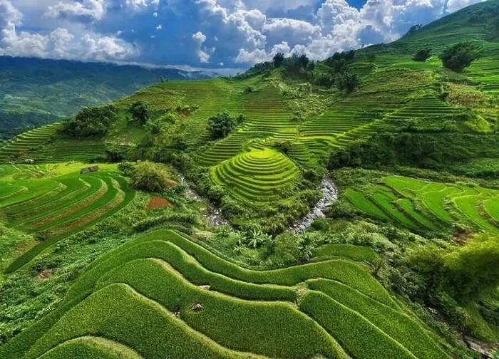 Framed Print : Aerial view of Rice terraces in Mu cang chai, Vietnam Framed Print : Aerial view of Rice terraces in Mu cang chai, Vietnam