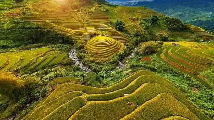 Framed Print : Aerial view of Rice terraces in Mu cang chai, Vietnam Framed Print : Aerial view of Rice terraces in Mu cang chai, Vietnam