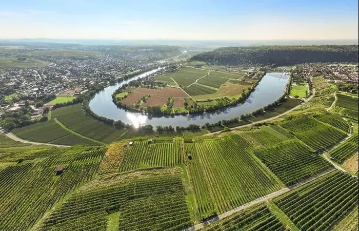 Framed Print : aerial view of the river loop in the Neckar Valley with its famous steep vineyards next to Mundelsheim Framed Print : aerial view of the river loop in the Neckar Valley with its famous steep vineyards next to Mundelsheim
