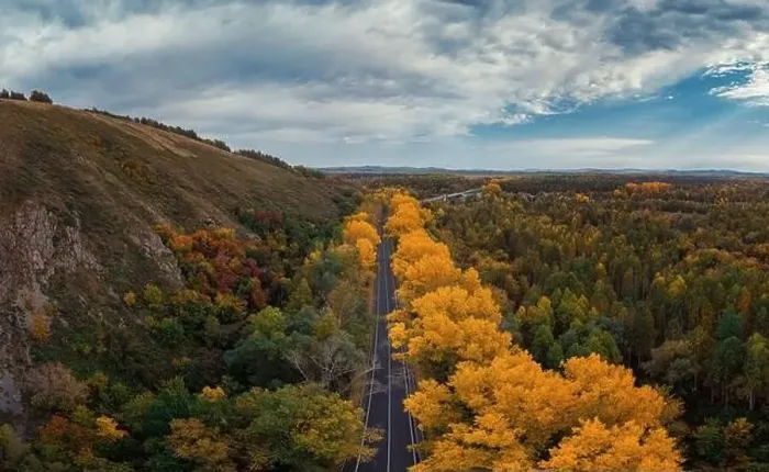 Framed Print : Aerial view of road in beautiful autumn Altai forest Framed Print : Aerial view of road in beautiful autumn Altai forest