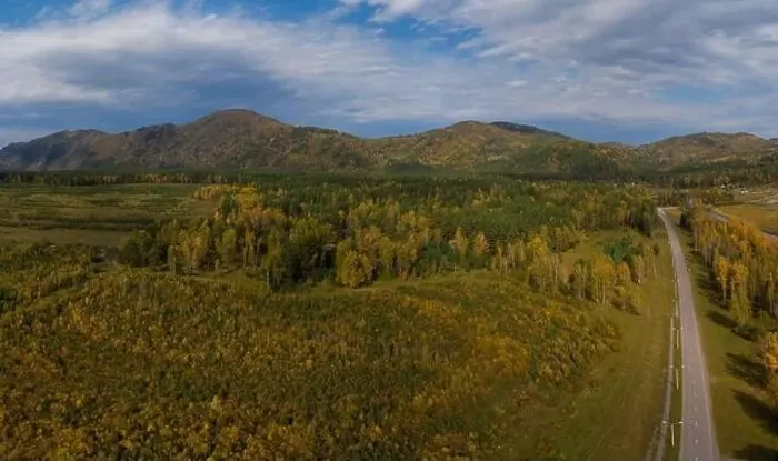 Framed Print : Aerial view of road in beautiful autumn Altai forest Framed Print : Aerial view of road in beautiful autumn Altai forest