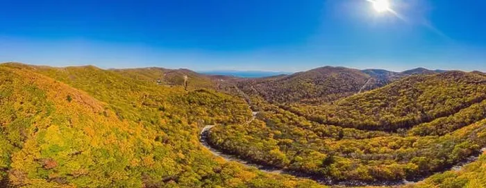 Framed Print : Aerial view of road in beautiful autumn forest at sunset