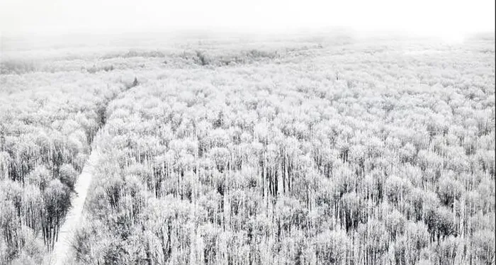 Framed Print : Aerial view of a road cutting through a snowy forest on a cloudy day Framed Print : Aerial view of a road cutting through a snowy forest on a cloudy day