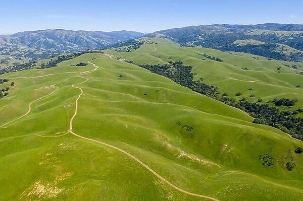 An aerial view of rolling hills in Northern California's tri-valley region shows lush, green grass that flourished after a wet winter