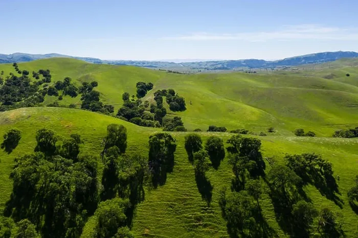 Framed Print : An aerial view of rolling hills in Northern California's tri-valley region shows lush, green grass that flourished after a wet winter Framed Print : An aerial view of rolling hills in Northern California's tri-valley region shows lush, green grass that flourished after a wet winter