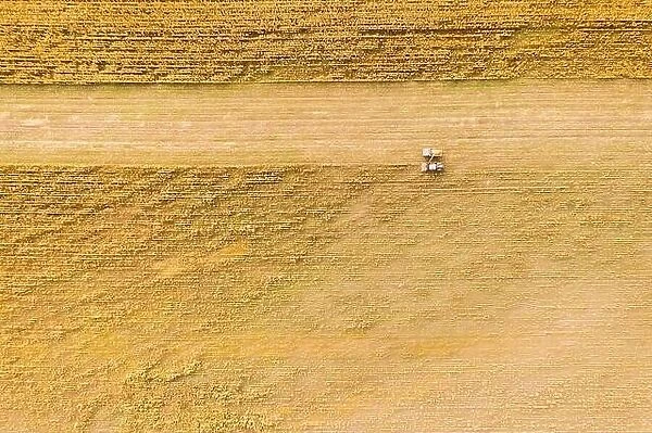 Aerial View Of Rural Landscape. Combine Harvester And Truck Working Together In Field, Collects Seeds. Harvesting Of Wheat In Autumn. Agricultural Mac