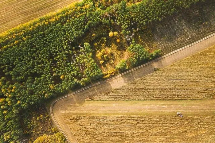 Framed Print : Aerial View Of Rural Landscape. Combine Harvester And Truck Working Together In Field, Collects Seeds. Harvesting Of Wheat In Autumn. Agricultural Mac Framed Print : Aerial View Of Rural Landscape. Combine Harvester And Truck Working Together In Field, Collects Seeds. Harvesting Of Wheat In Autumn. Agricultural Mac