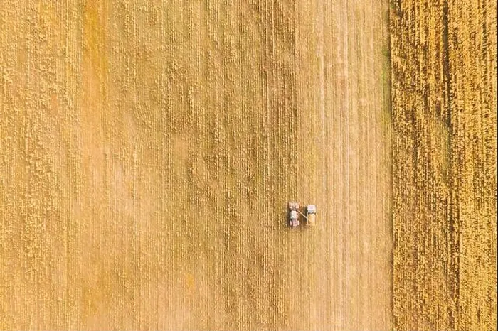 Framed Print : Aerial View Of Rural Landscape. Combine Harvester And Truck Working Together In Field, Collects Seeds. Harvesting Of Wheat In Autumn. Agricultural Framed Print : Aerial View Of Rural Landscape. Combine Harvester And Truck Working Together In Field, Collects Seeds. Harvesting Of Wheat In Autumn. Agricultural