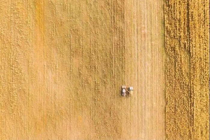 Framed Print : Aerial View Of Rural Landscape. Combine Harvester And Truck Working Together In Field, Collects Seeds. Harvesting Of Wheat In Autumn. Agricultural Mac Framed Print : Aerial View Of Rural Landscape. Combine Harvester And Truck Working Together In Field, Collects Seeds. Harvesting Of Wheat In Autumn. Agricultural Mac
