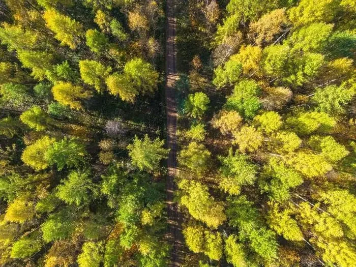 Framed Print : Aerial view of a rural road with in yellow and orange autumn forest Framed Print : Aerial view of a rural road with in yellow and orange autumn forest
