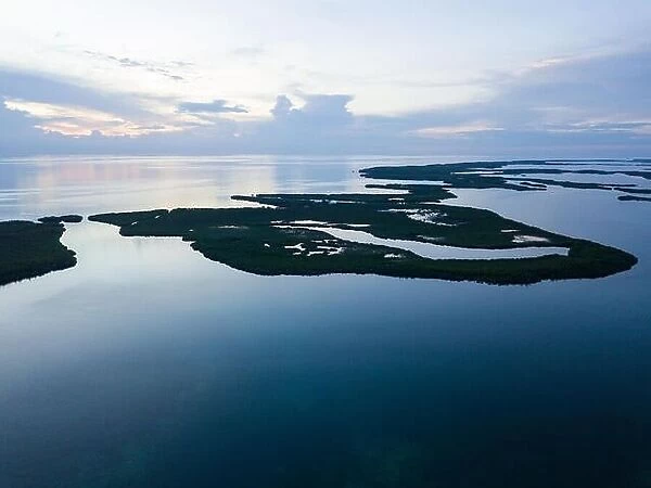 An aerial view shows extensive mangroves in Turneffe Atoll off the coast of Belize. Mangroves provide vital habitat for many fish and invertebrates