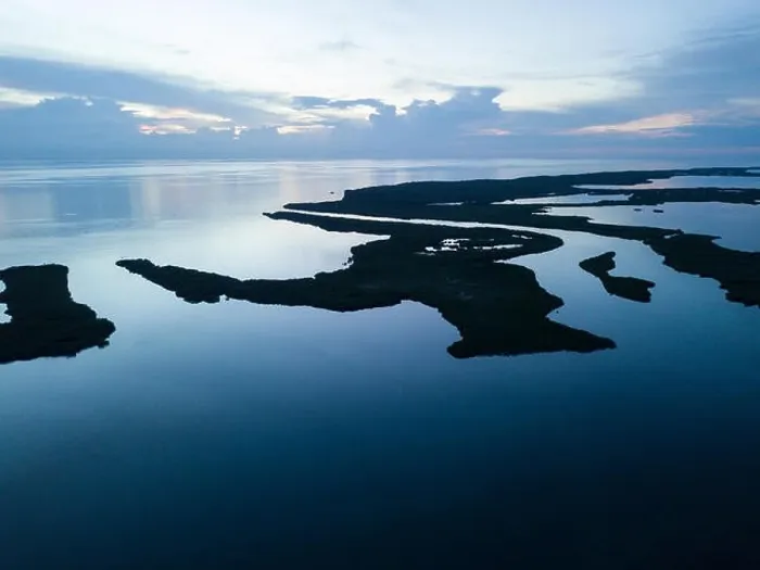 Framed Print : An aerial view shows extensive mangroves in Turneffe Atoll off the coast of Belize. Mangroves provide vital habitat for many fish and invertebrates Framed Print : An aerial view shows extensive mangroves in Turneffe Atoll off the coast of Belize. Mangroves provide vital habitat for many fish and invertebrates